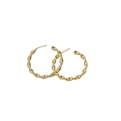 Earring RAJSONS IMPEX GOLD