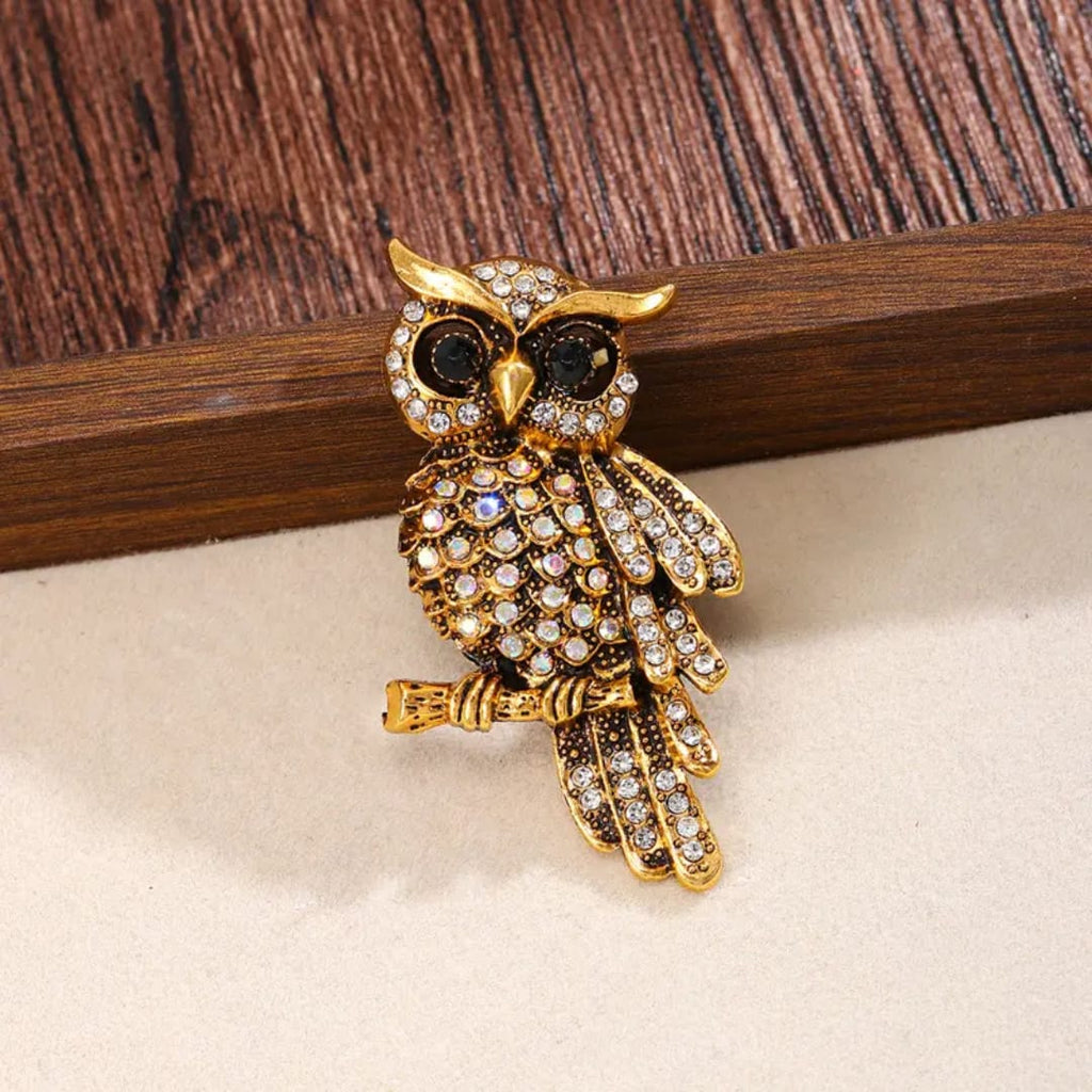 Owl Brooch , big size Unisex style Gold , blue and silver colour available Anti tarnish material