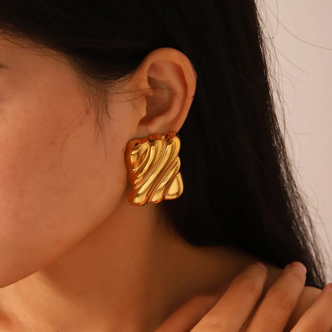 Stainless steel Luxury biscuit style Earrings