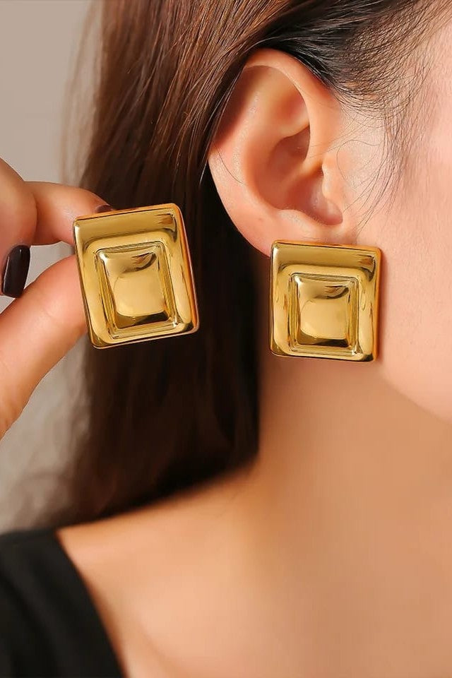 Stainless steel material luxury Earrings