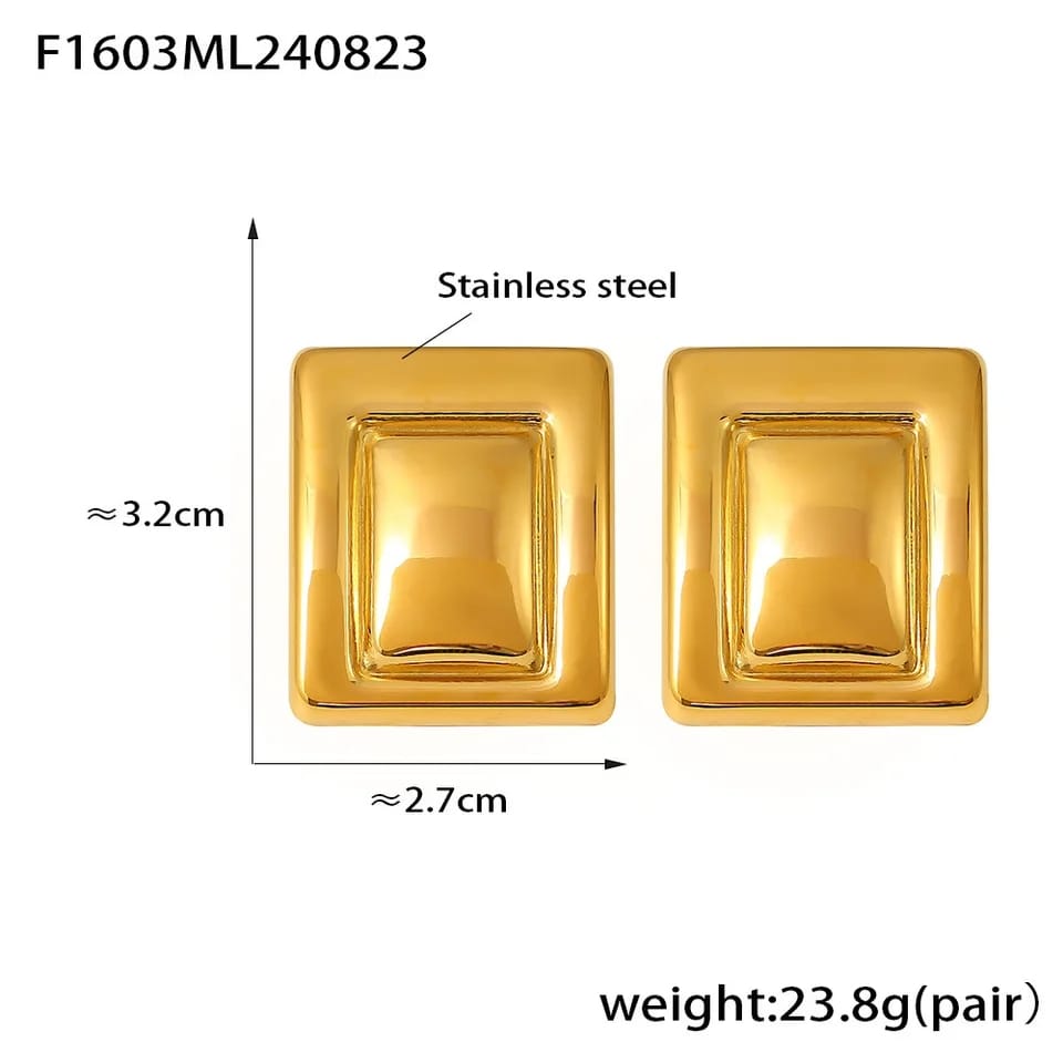 Stainless steel material luxury Earrings