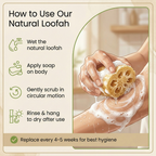 Natural Loofah Bath Combo – Dual Scrub Set for Full Body Exfoliation