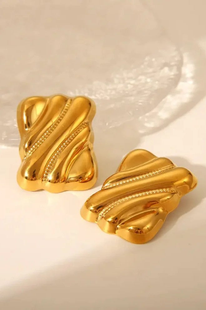 Stainless steel Luxury biscuit style Earrings