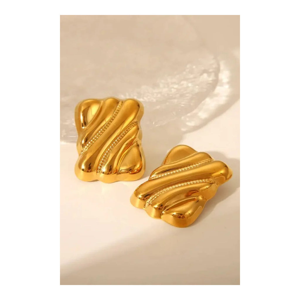 Stainless steel Luxury biscuit style Earrings