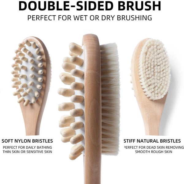 Body Bath Brush | 2 In 1 with Free Loofah | Exfoliating Wet & Dry Bath Body Brush with Handle