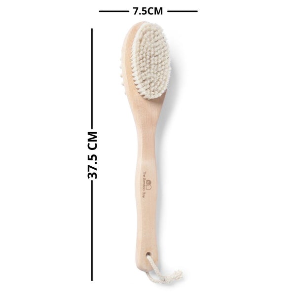 Body Bath Brush | 2 In 1 with Free Loofah | Exfoliating Wet & Dry Bath Body Brush with Handle
