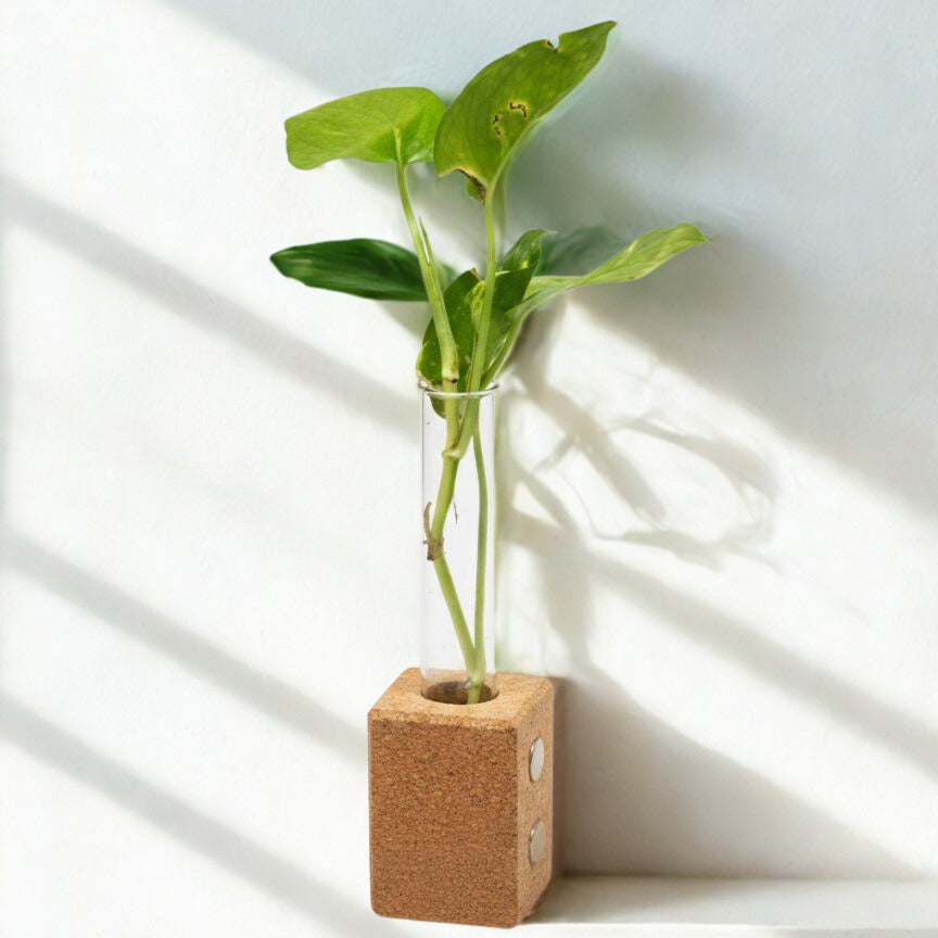 Signature Cork Box – Festive Gifting Hampers by The Bamboo Bae