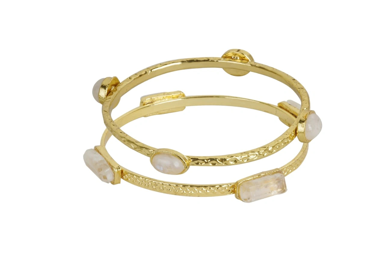 Bracelets RAJSONS IMPEX Set of 2 Bangles in 14k Gold Plated