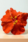 OMID, Kids Flower Hair Clip – Bright Red Hibiscus Design – Cute & Durable Hair Accessory for Girls