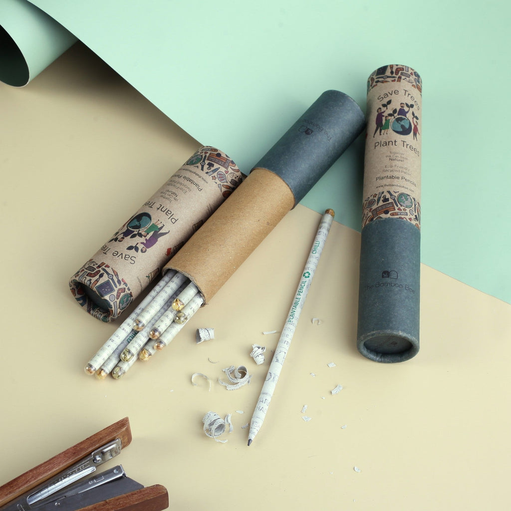 Plantable Pencils | Set of 10 Recycled Paper Seed Pencils With Reusable Cardboard Tube