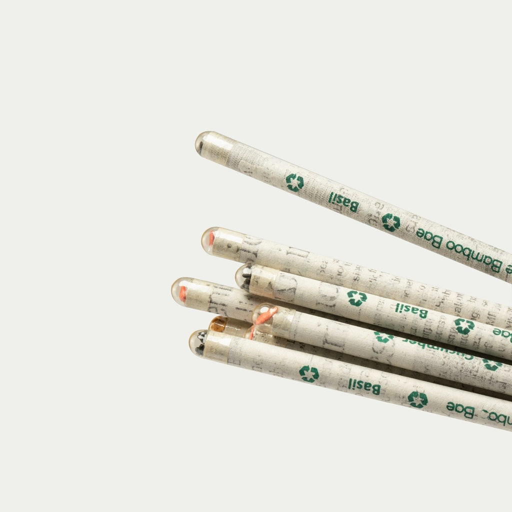 Plantable Stationery Kit | Plantable Notebook, Pen, and Pencil Set by The Bamboo Bae