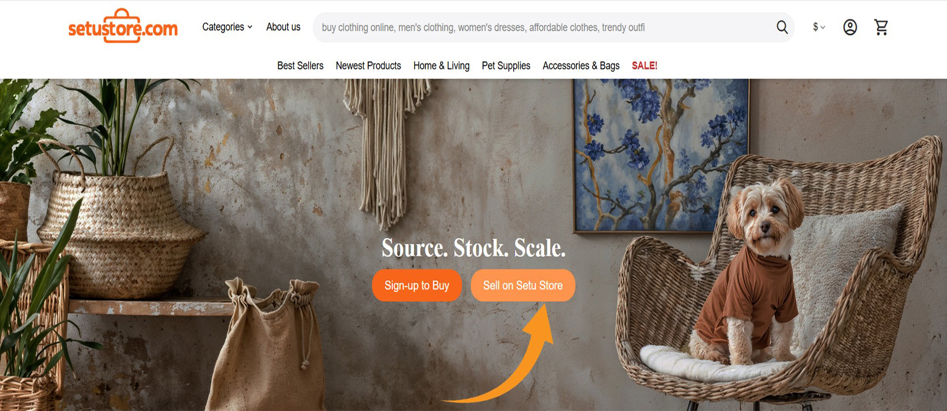 Setu Store submission confirmation screen showing a success message with next steps